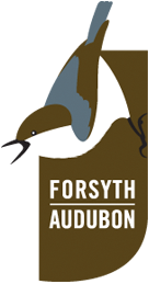 Forsyth Audubon logo, a brown-headed Nuthatch on a brown background