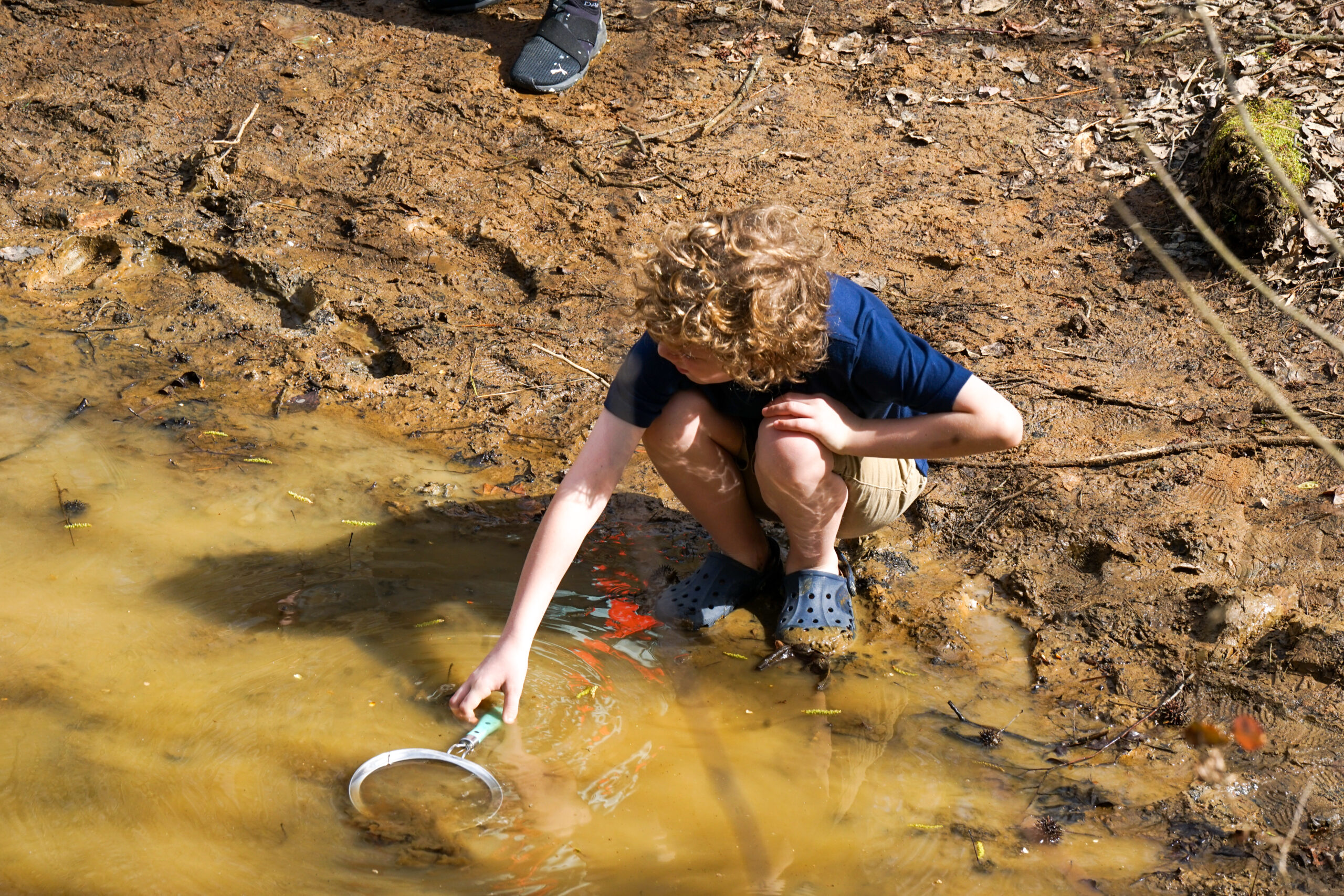 A child crouches next to a stream while sampling for bugs, feet in the mud.