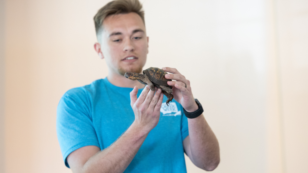 A man holding a box turtle