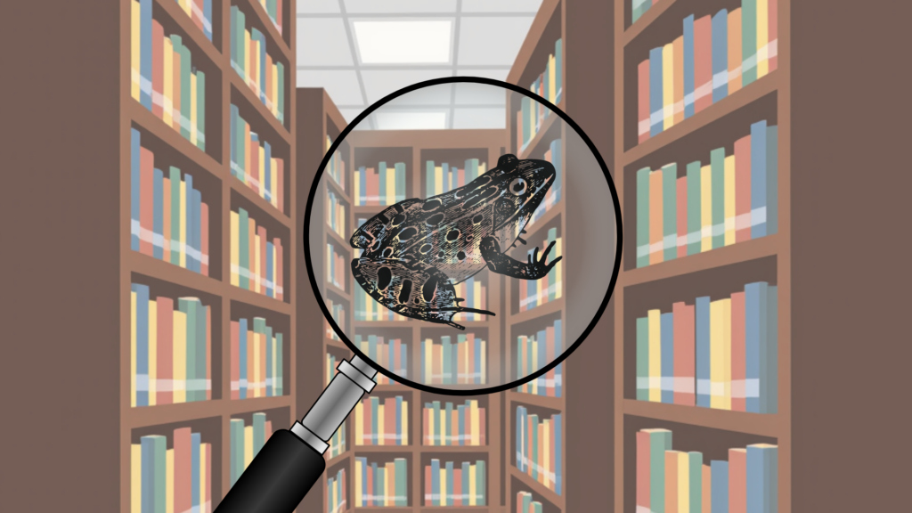 A black and white frog drawing under a magnifying glass with a library shelves background