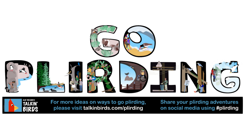 Text "Go Plirding" with different birds illustrated within the block letters
