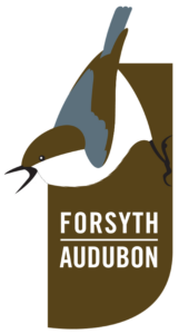 forsyth_logo_highres Forsyth Audubon Logo. A brown headed nuthatch.